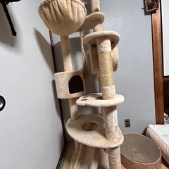 キャットタワー　引き渡し者決まりました　