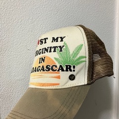 55DSLキャップ