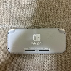 ニンテンドー　SWITCH LIGHTの画像