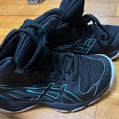 バッシュ19センチ