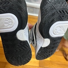 NIKEバッシュの画像