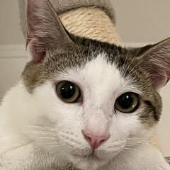 僕のずっとの家族になってください！ - 里親募集