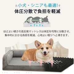 犬　猫　ペット用　ソファ　ベッド の画像