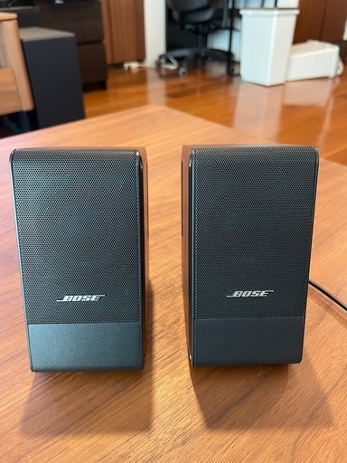 BOSE Computer Music Monitor 