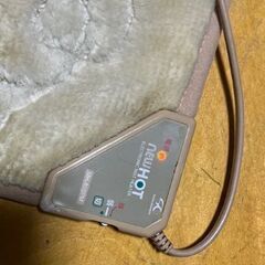 一人用ホットカーペットの画像