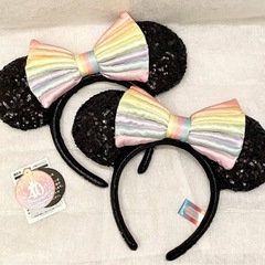 ディズニーランド 40周年 カチューシャ ２つセット ドリームゴ...