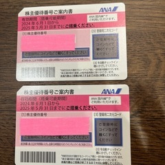 ANA 国内線搭乗優待　2枚