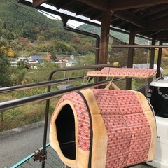 ペットクッションハウス！の画像