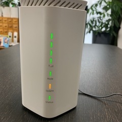 Wi-Fi ルーター Speed Wi-Fi HOME 5G L...