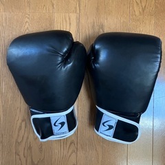 エクササイズボクシンググローブ🥊