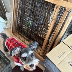 木製スライドペットサークル ワイド（咬み傷あり）の画像