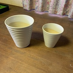 【決まりました】鉢