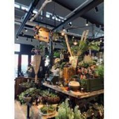 【UN DEUX PLANTS(ｱﾝﾄﾞｩﾌﾟﾗﾝﾂ) 高知 蔦屋書店】✿お花の好きな方募集！！　色とりどりのお花やグリーンに囲まれた素敵なお店で一緒に楽しく働きませんか？　未経験者ＯＫ！！の画像