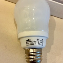 電球　