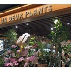 【UN DEUX PLANTS(ｱﾝﾄﾞｩﾌﾟﾗﾝﾂ) イオンモール広島府中店】✿お花の好きな方募集！色とりどりのお花やグリーンに囲まれた素敵なお店で一緒に楽しく働きませんか？　未経験者OK！！の画像