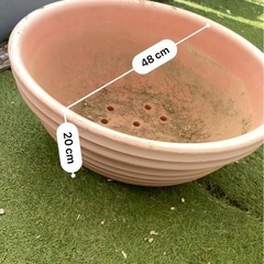 【決まりました】無料　植木鉢10個あげます　プランターの画像