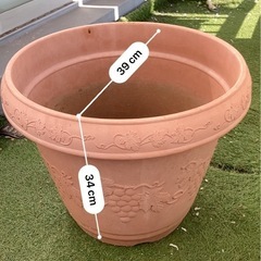 【決まりました】無料　植木鉢10個あげます　プランターの画像