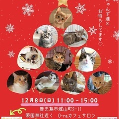 スマイルわんにゃん譲渡会🐈🐾  