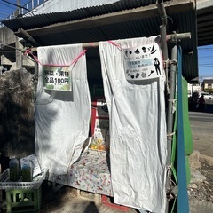 【果物おまとめセット】本庄産　果物　無農薬　販売　まとめ売り　セットの画像