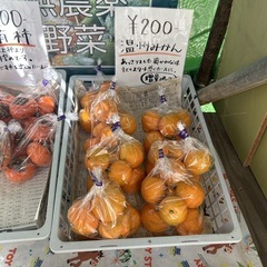 【果物おまとめセット】本庄産　果物　無農薬　販売　まとめ売り　セット