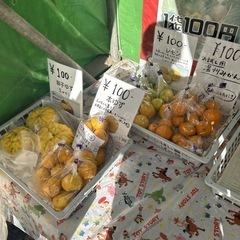 【果物おまとめセット】本庄産　果物　無農薬　販売　まとめ売り　セットの画像