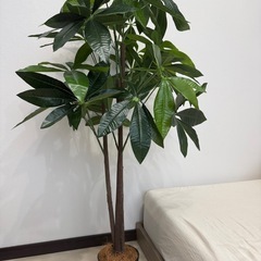 フェイクグリーン 造花 観葉植物
の画像