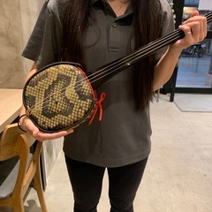 三線/沖縄三味線/専用ソフトケース付き