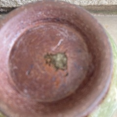 湯呑み3個の画像