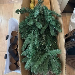 クリスマスツリー