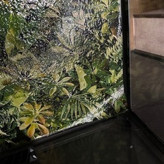  爬虫類 ケージの画像