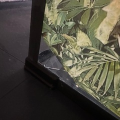  爬虫類 ケージの画像