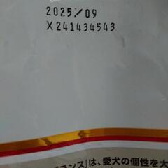 ドックフード  の画像