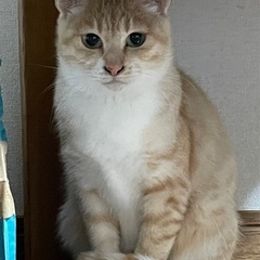 スタイル抜群美人　ルートちゃん