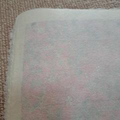 和紙　2種類の画像