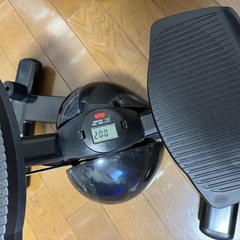 オアシス ステッパーの画像