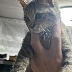 生後３ヶ月位
