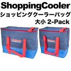 コストコ　大中　クーラーバッグ　使用2回