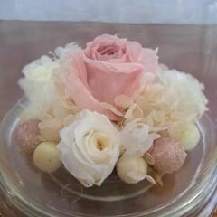 プリザーブドフラワーの画像