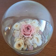 プリザーブドフラワーの画像