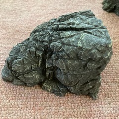 爬虫類　両生類シェルター
の画像