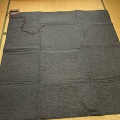 【お問い合わせありがとうございました】稼働ホットカーペットカバーなし