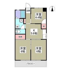 💕即時入居・初月賃料ゼロ・敷金ゼロ・礼金ゼロ・仲介手数料ゼロ💕フ...