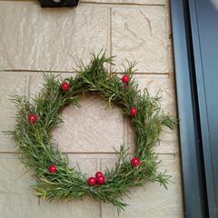 ローズマリー・ワイヤープランツ(剪定済みの枝)の画像