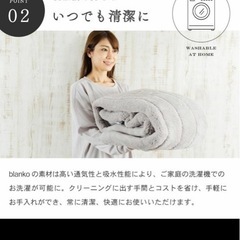 新品未開封 ふんわり敷パットの画像