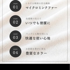 新品未開封 ふんわり敷パットの画像