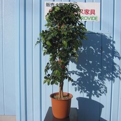 フェイクグリーン　造花　H1400mm程度