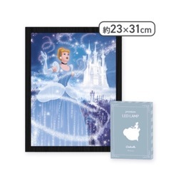 シンデレラ　LEDライト
の画像