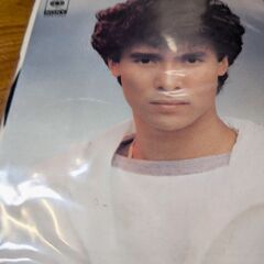 （中古EPレコード）もういちど思春期−郷ひろみ