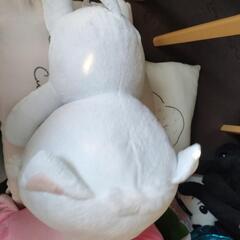 ぬいぐるみの画像