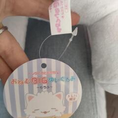 ぬいぐるみの画像
